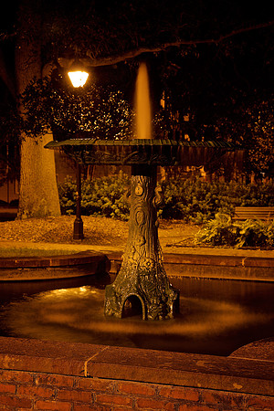 Nighttime in Savannah, GA