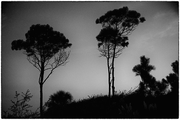 Sunrise, Hilton Head Island, SC