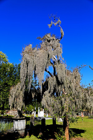 Colonial Park Cemetery, Savannah, GA
