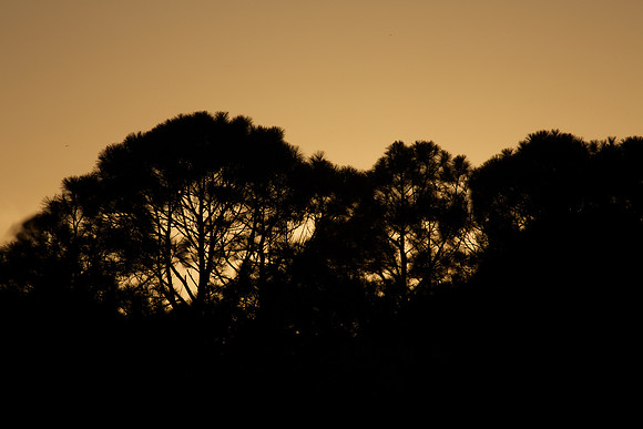 Sunrise, Hilton Head Island, SC