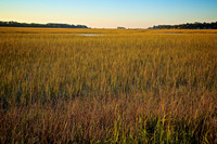 2014 Oct - Hilton Head Island & Savannah, GA