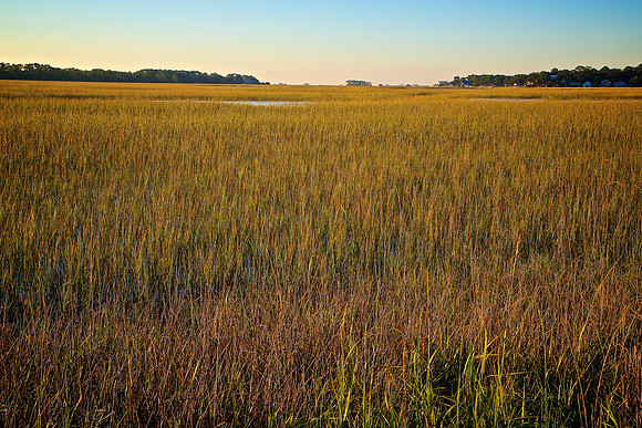 Salt Marsh Sunrise, Tybee Island, GA