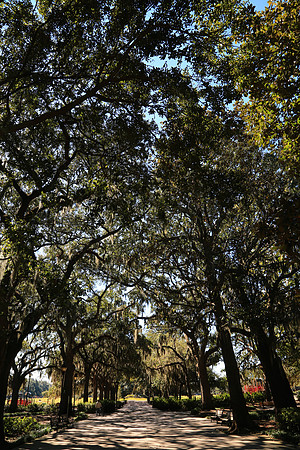Forsyth Park, Savannah, GA