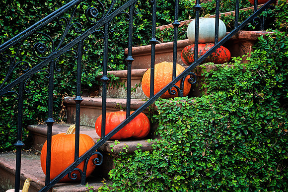 Savannah, GA