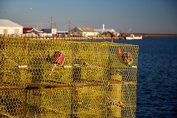 Crab pots in fishing village of Saxis, VA