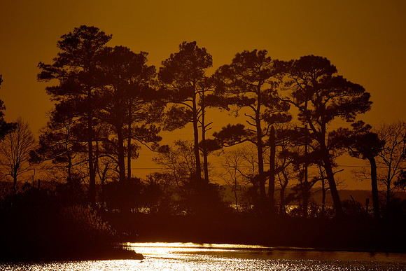 Sunset on Tilghman Island, MD