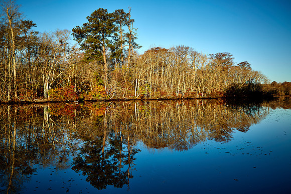 Pocomoke River State Park near Snow Hill, MD