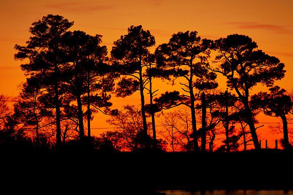 Sunset on Tilghman Island, MD