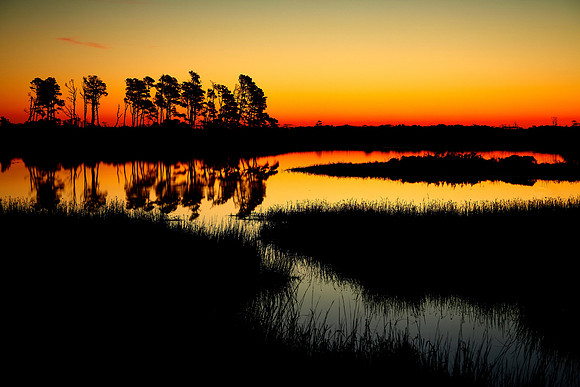 Sunrise, Beach Road, Chincoteague National Wildlife Refuge, VA
