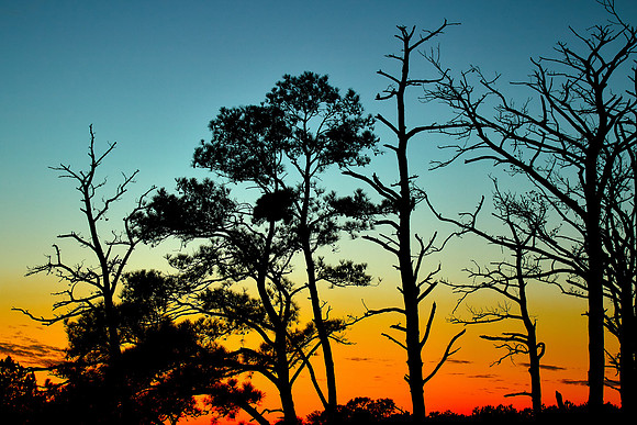 Sunset, Beach Road, Chincoteague National Wildlife Refuge, VA