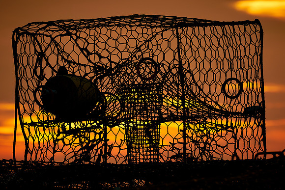 Crab pot at sunrise at Taylor's Landing near Greenbackville, VA