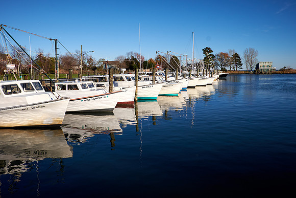 Tilghman Island, MD