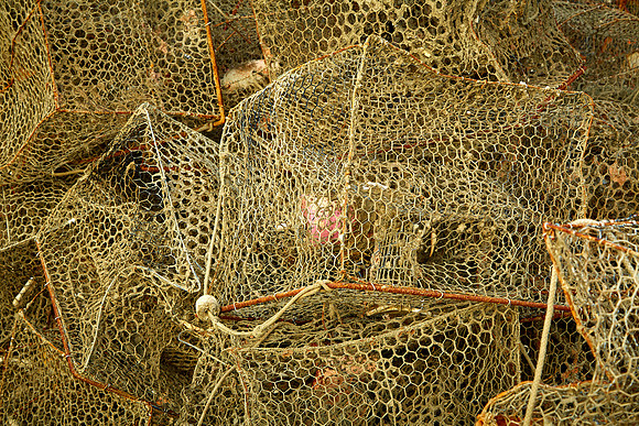 Crab pots at sunrise at Taylor's Landing near Greenbackville, VA