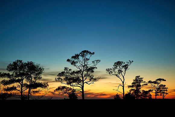Sunset, Hammock Road,  near Saxis Wildlife Management Area, VA