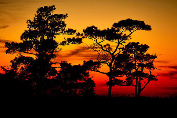 Sunset, Hammock Road,  near Saxis Wildlife Management Area, VA