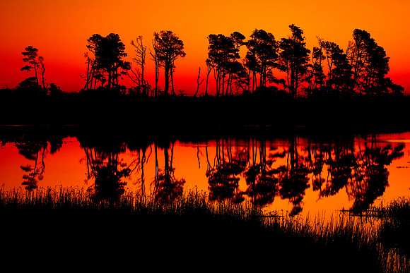 Sunrise, Beach Road, Chincoteague National Wildlife Refuge, VA