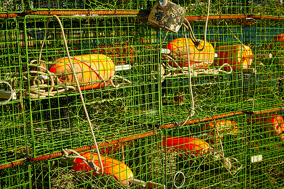 Crab pots in fishing village of Saxis, VA