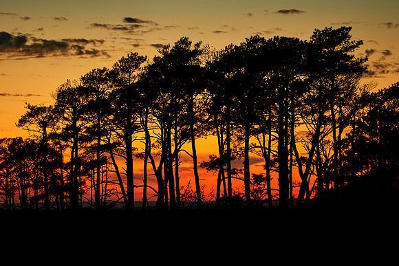 Sunset, Beach Road, Chincoteague National Wildlife Refuge, VA