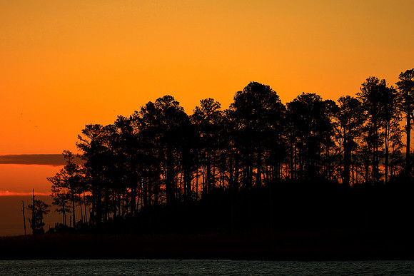 Sunrise at Blackwater National Wildlife Refuge, MD