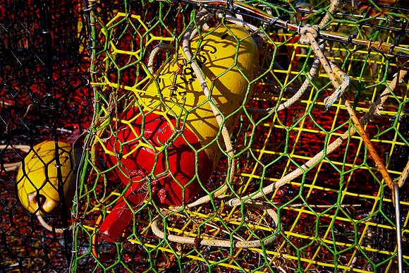 Crab pots in fishing village of Greenbackville, VA