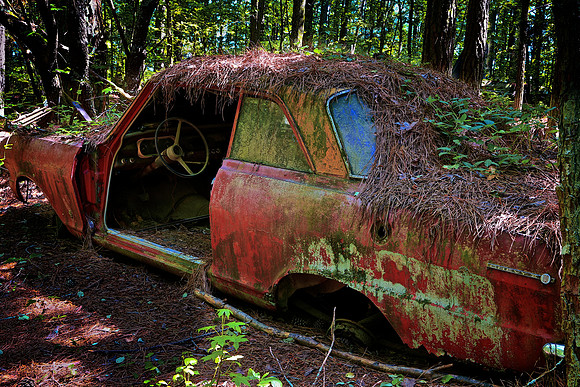 Old Car City, White, GA