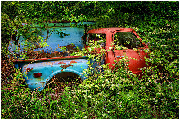 Old Car City, White, GA