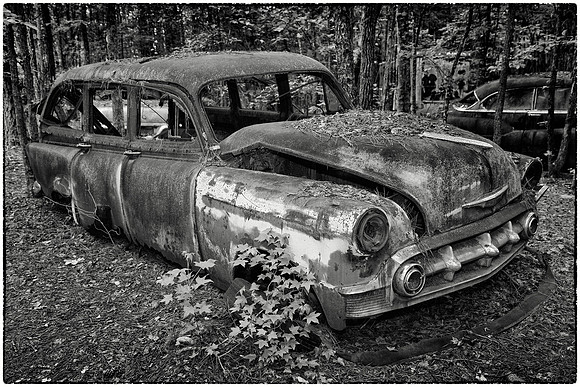 Old Car City, White, GA
