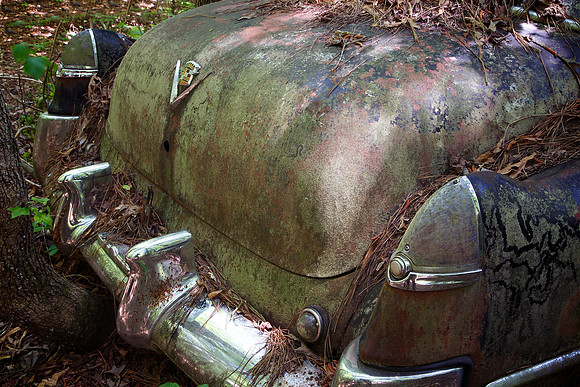 Old Car City, White, GA