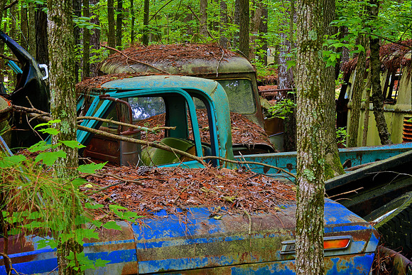 Old Car City, White, GA