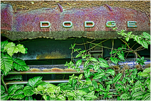 Old Car City, White, GA