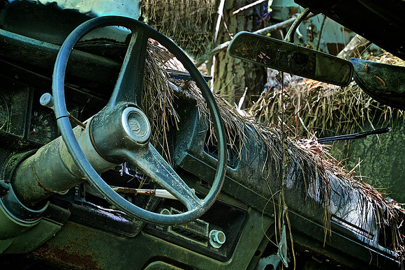 Old Car City, White, GA