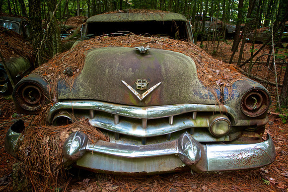 Old Car City, White, GA