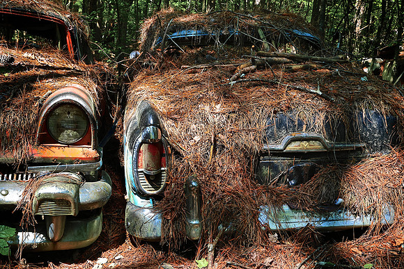 Old Car City, White, GA