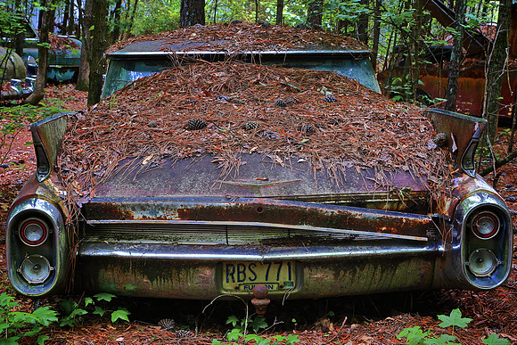 Old Car City, White, GA