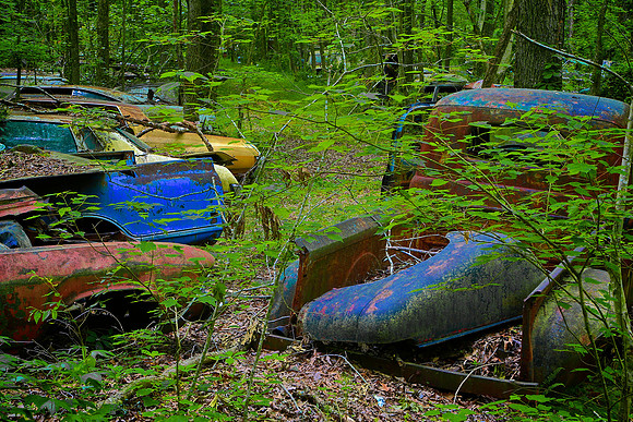 Old Car City, White, GA