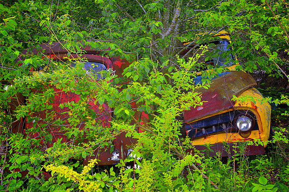 Old Car City, White, GA