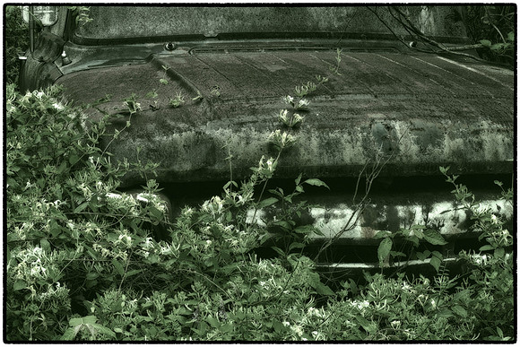 Old Car City, White, GA