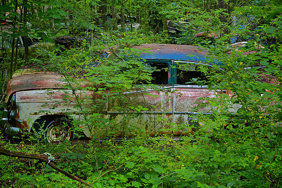 Old Car City, White, GA