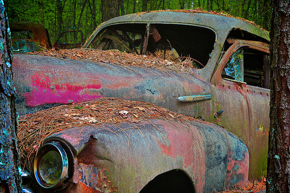 Old Car City, White, GA