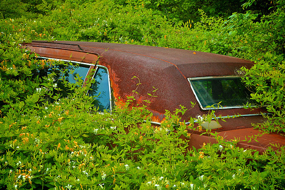 Old Car City, White, GA