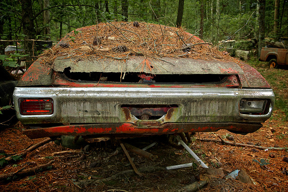 Old Car City, White, GA