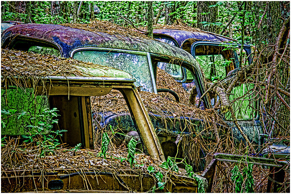 Old Car City, White, GA