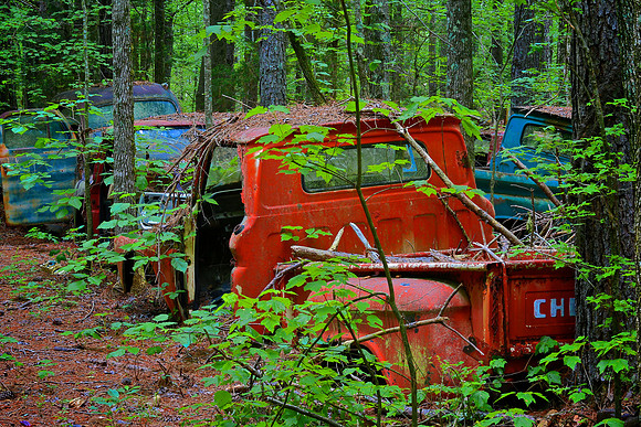 Old Car City, White, GA