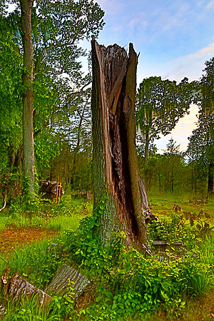 Travelers Rest (aka Garner R. Yates Plantation), Hague, VA