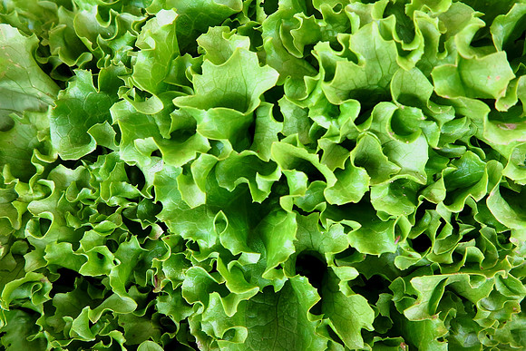 Garner's Farm Market, Hague, VA