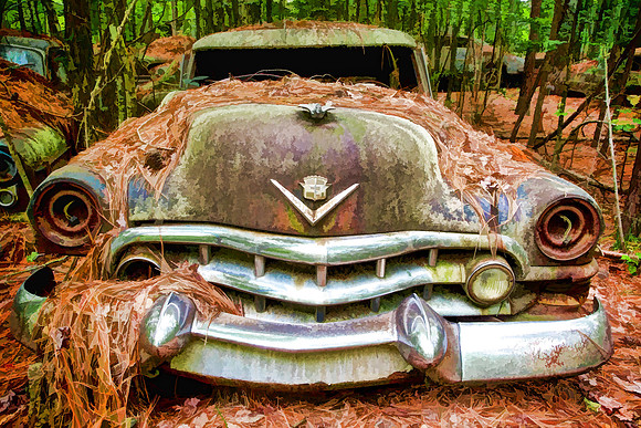 Old Car City, White, GA