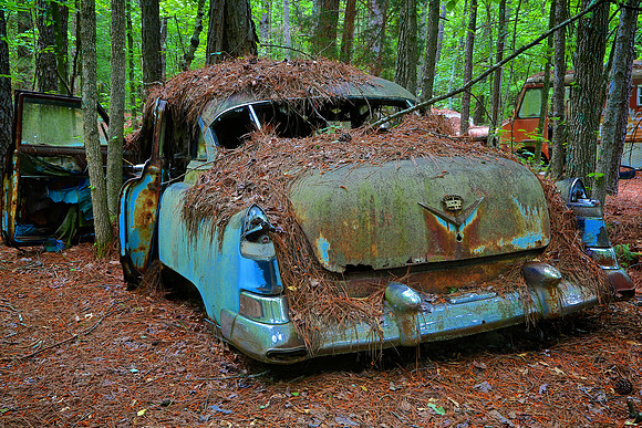 Old Car City, White, GA