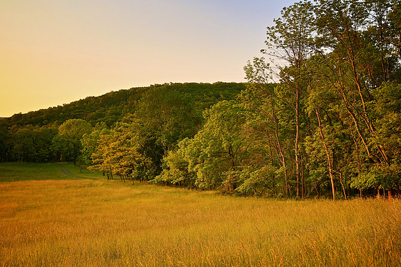 Righini Estate, West Virginia