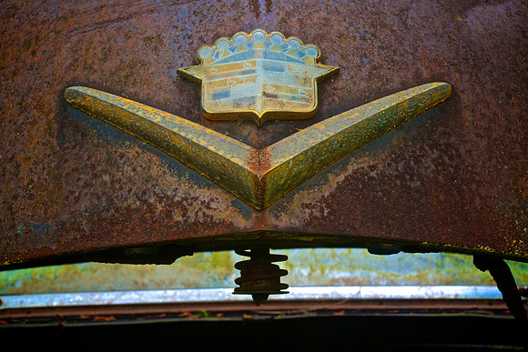 Old Car City, White, GA