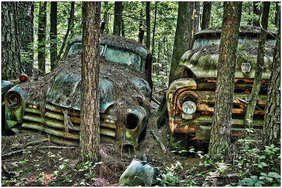 Old Car City, White, GA
